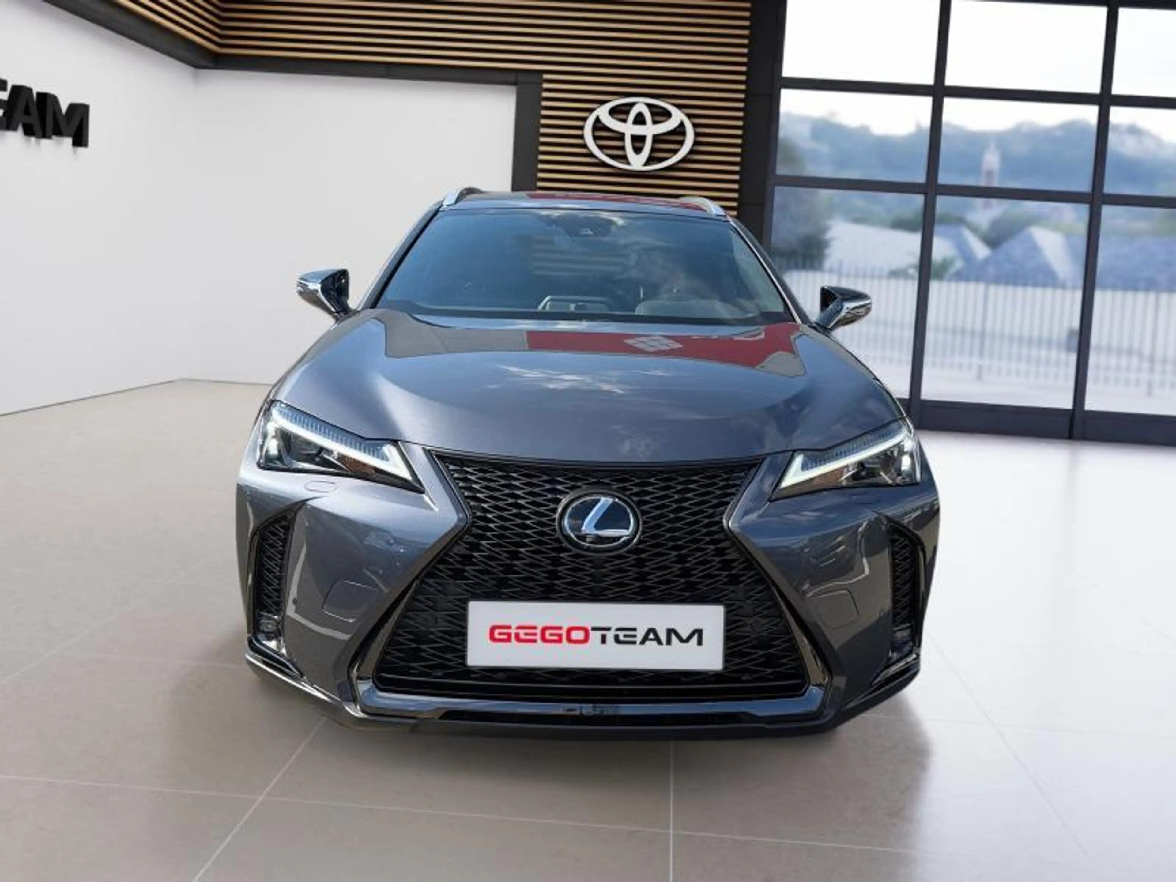 Lexus UX 250h F SPORT Design — photo 9