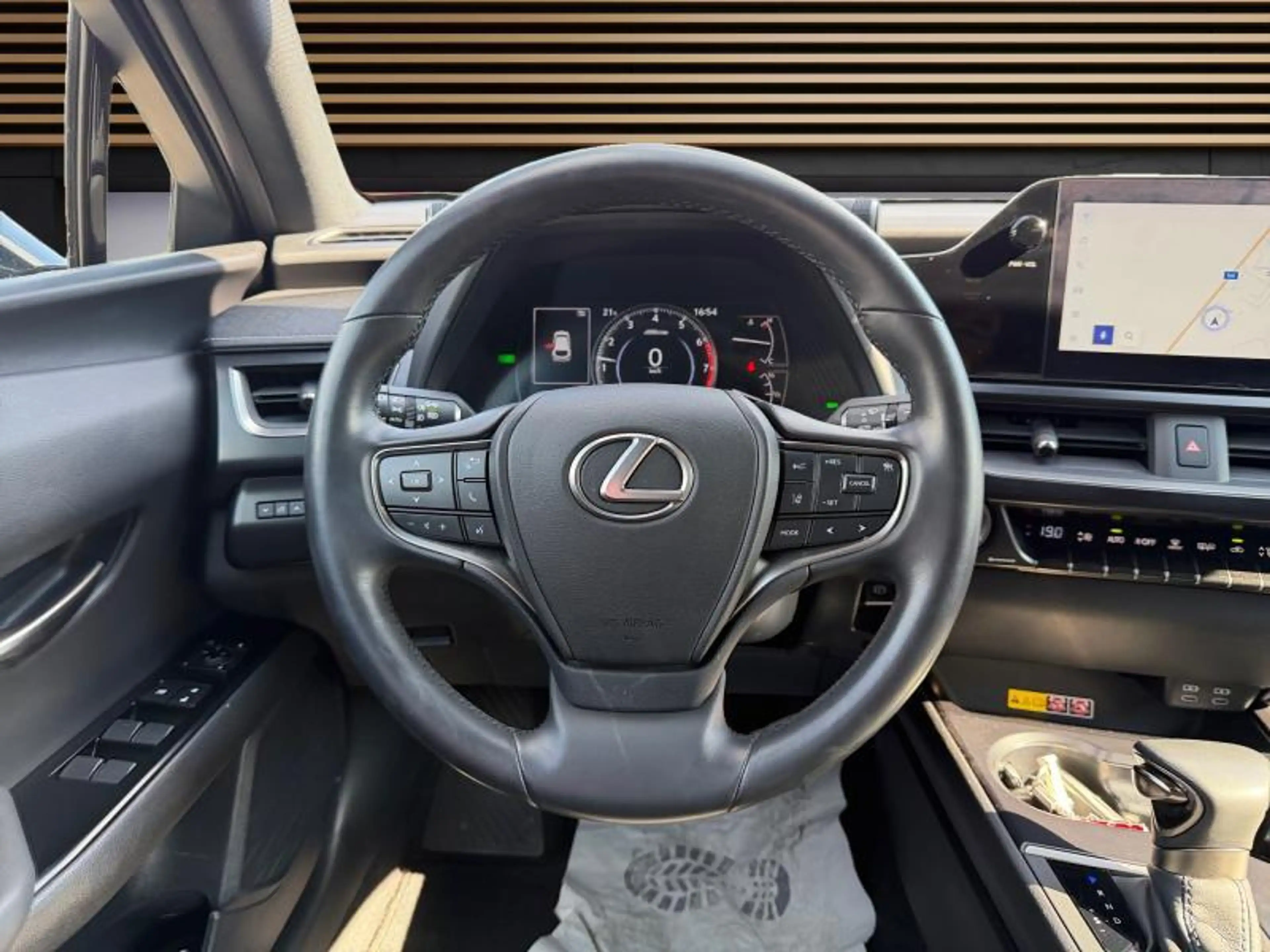 Lexus UX 250h F SPORT Design — photo 16