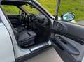 MINI Cooper D Clubman Mini Cooper D Clubman Aut. Weiß - thumbnail 9