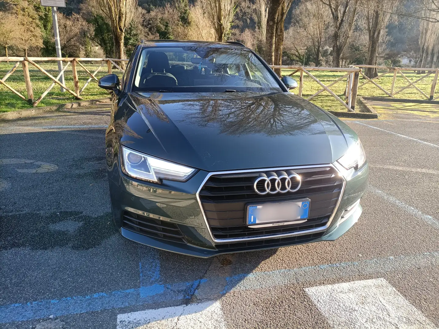 Audi A4 A4 Avant 2.0 tdi Business Sport 122cv Verde - 1