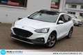 Ford Focus Turnier 1,5 EcoBlue Auto Active Panor=LED Weiß - thumbnail 1