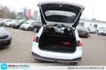 Ford Focus Turnier 1,5 EcoBlue Auto Active Panor=LED Weiß - thumbnail 13