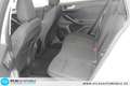 Ford Focus Turnier 1,5 EcoBlue Auto Active Panor=LED Weiß - thumbnail 12