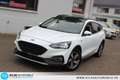 Ford Focus Turnier 1,5 EcoBlue Auto Active Panor=LED Weiß - thumbnail 16