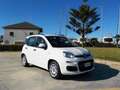 Fiat Panda Panda 1.2 Easy 69cv Blanc - thumbnail 1