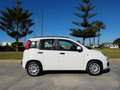 Fiat Panda Panda 1.2 Easy 69cv Blanc - thumbnail 4