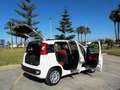 Fiat Panda Panda 1.2 Easy 69cv Blanc - thumbnail 9