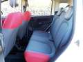 Fiat Panda Panda 1.2 Easy 69cv Blanc - thumbnail 30
