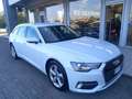Audi A6 Avant 40 2.0 tdi mhev Business s-tronic Bianco - thumbnail 1