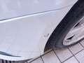 Audi A6 Avant 40 2.0 tdi mhev Business s-tronic Bianco - thumbnail 8