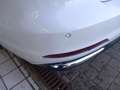 Audi A6 Avant 40 2.0 tdi mhev Business s-tronic Bianco - thumbnail 7
