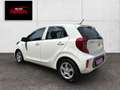 Kia Picanto Dream Team 1.0 Gold 49 kW (67 PS), Schalt. 5-Ga... Weiß - thumbnail 3