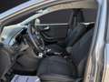 Ford Puma 1.0 EcoBoost Hybrid 125 CV S&S Titanium - thumbnail 11