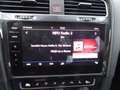 Volkswagen e-Golf e-Golf Szary - thumbnail 14