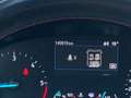 Ford Focus V 2018 SW 1.5 Ecoblue ST-Line 120cv Aut NEOPATENTI - thumbnail 12