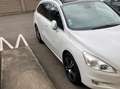Peugeot 508 508 SW 2.2 HDi 200ch FAP BVA6 GT A Blanc - thumbnail 9