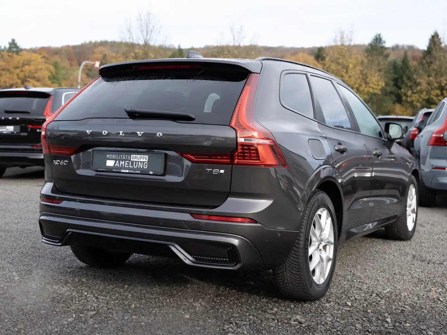 Volvo XC60 T8 Recharge Plus Dark AWD STANDHZ 360° Grau - 2