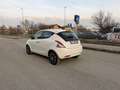 Lancia Ypsilon 1.2 Gold ecochic Gpl 69cv - thumbnail 7