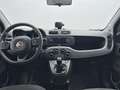 Fiat Panda 1.0 MHEV CITY LIFE 70CV 5P Gris - thumbnail 5