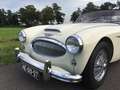 Austin-Healey 100 Austin Haly 100/6 Restored Beige - thumbnail 9