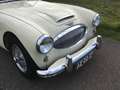 Austin-Healey 100 Austin Haly 100/6 Restored Beige - thumbnail 8