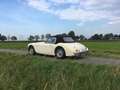 Austin-Healey 100 Austin Haly 100/6 Restored Beige - thumbnail 4