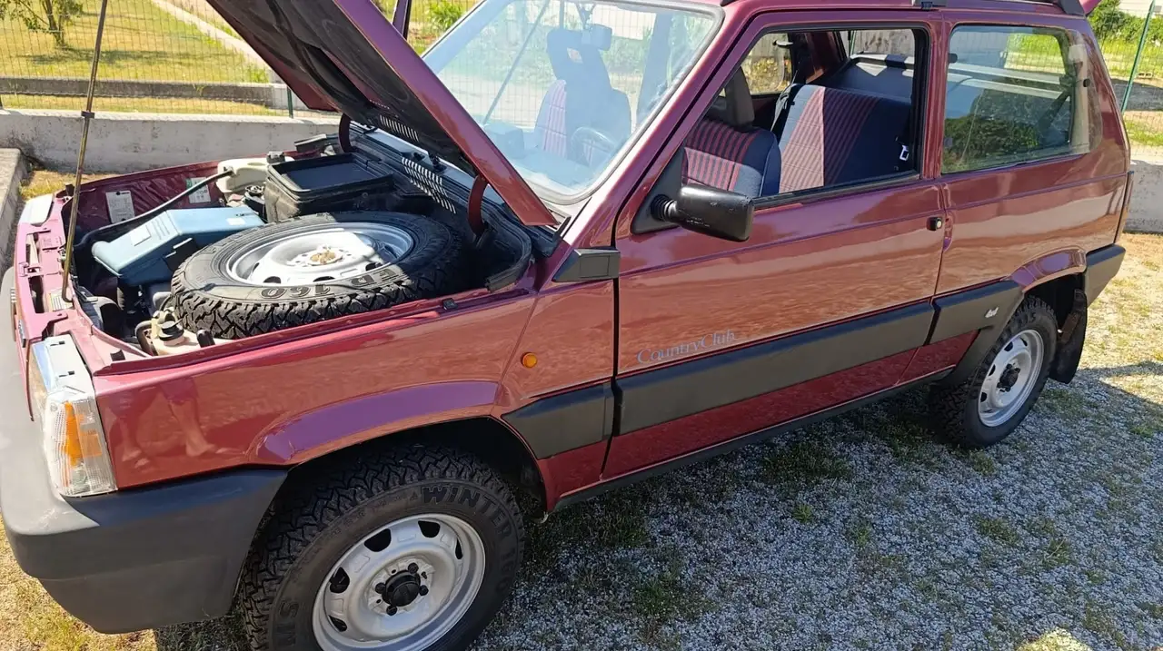 Fiat Panda 1.1 Country Club 4x4 cat., foto 3