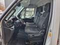 Iveco Daily 35S16 Hi-Matic Koelkoffer Carrier Xarios 5 ST 380V Blanc - thumbnail 24