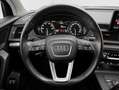 Audi Q5 50 TFSI-E 299cv Quattro Stronic Business Blau - thumbnail 12