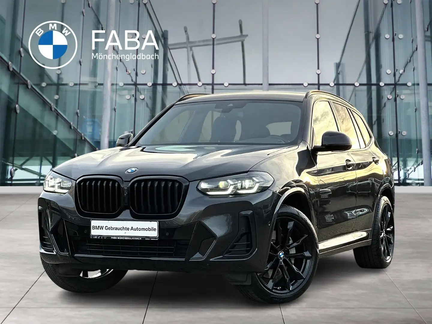 BMW X3 xDrive30d M Sportpaket HiFi DAB LED WLAN Grau - 1