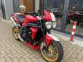 Triumph Speed Triple 1050 #ARROW#Sublieme staat#gr beurt uitgevoerd Rood - thumbnail 2
