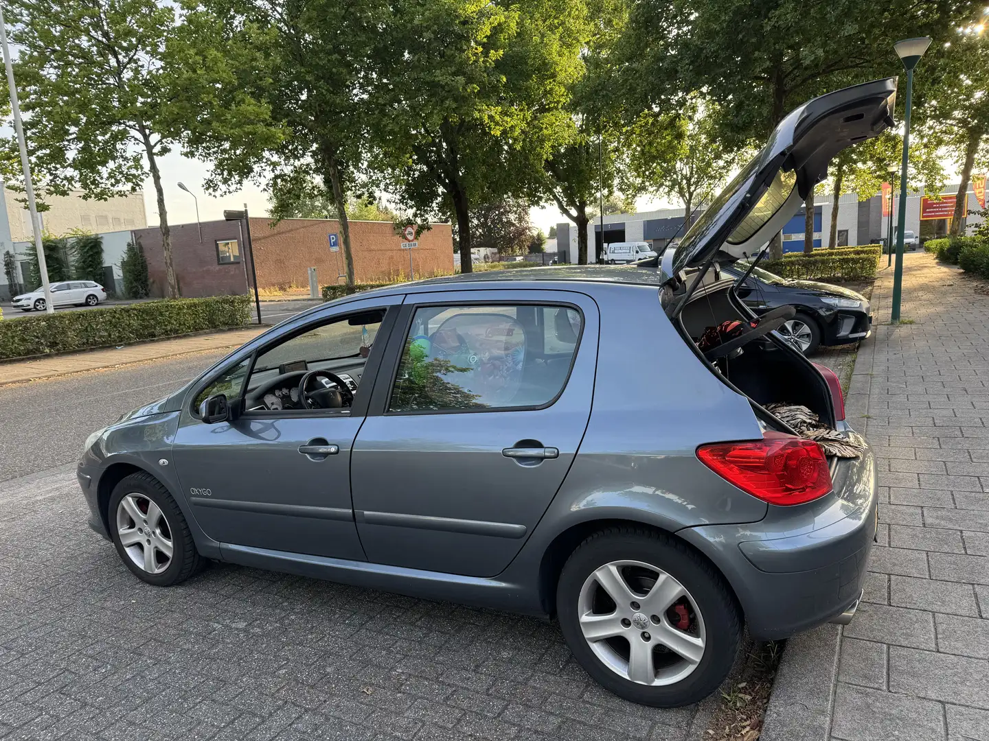 Peugeot 307 OXYGO - 2