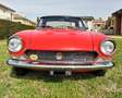 Fiat 124 Spider BS1 Rot - thumbnail 16