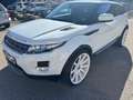 Land Rover Range Rover Evoque Range Rover Evoque Coupe Si4Pure Weiß - thumbnail 1
