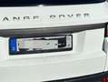 Land Rover Range Rover Evoque Range Rover Evoque Coupe Si4Pure Weiß - thumbnail 10