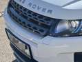 Land Rover Range Rover Evoque Range Rover Evoque Coupe Si4Pure Weiß - thumbnail 11