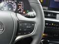 Lexus UX 250h Luxury Line | Leder | Dynamic Pack | Navigatie | B Grau - thumbnail 16