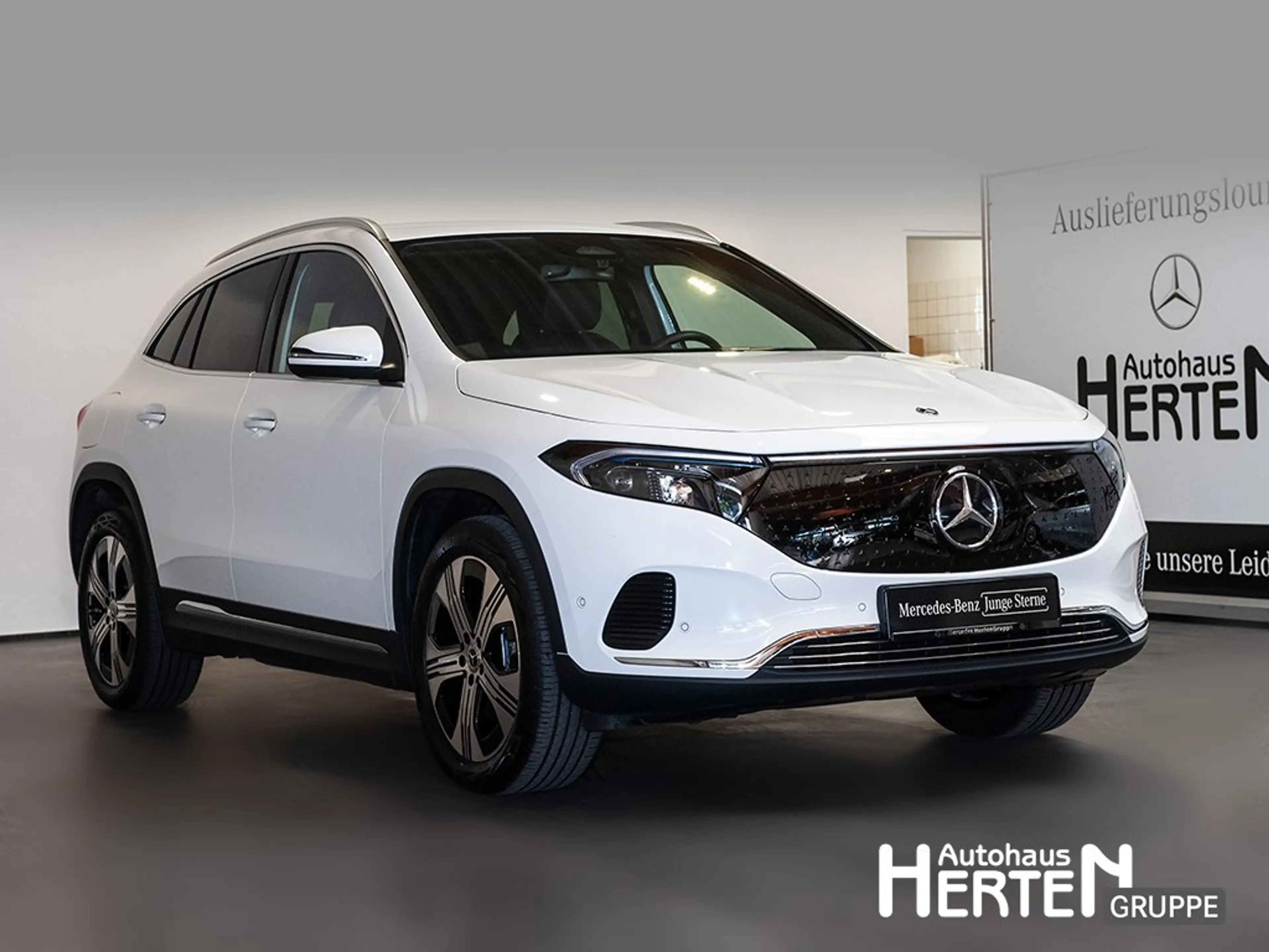 Mercedes-Benz EQA 250 +PROGRESSIVE+DISTRONIC+LED+R-KAMERA+19" — photo 3