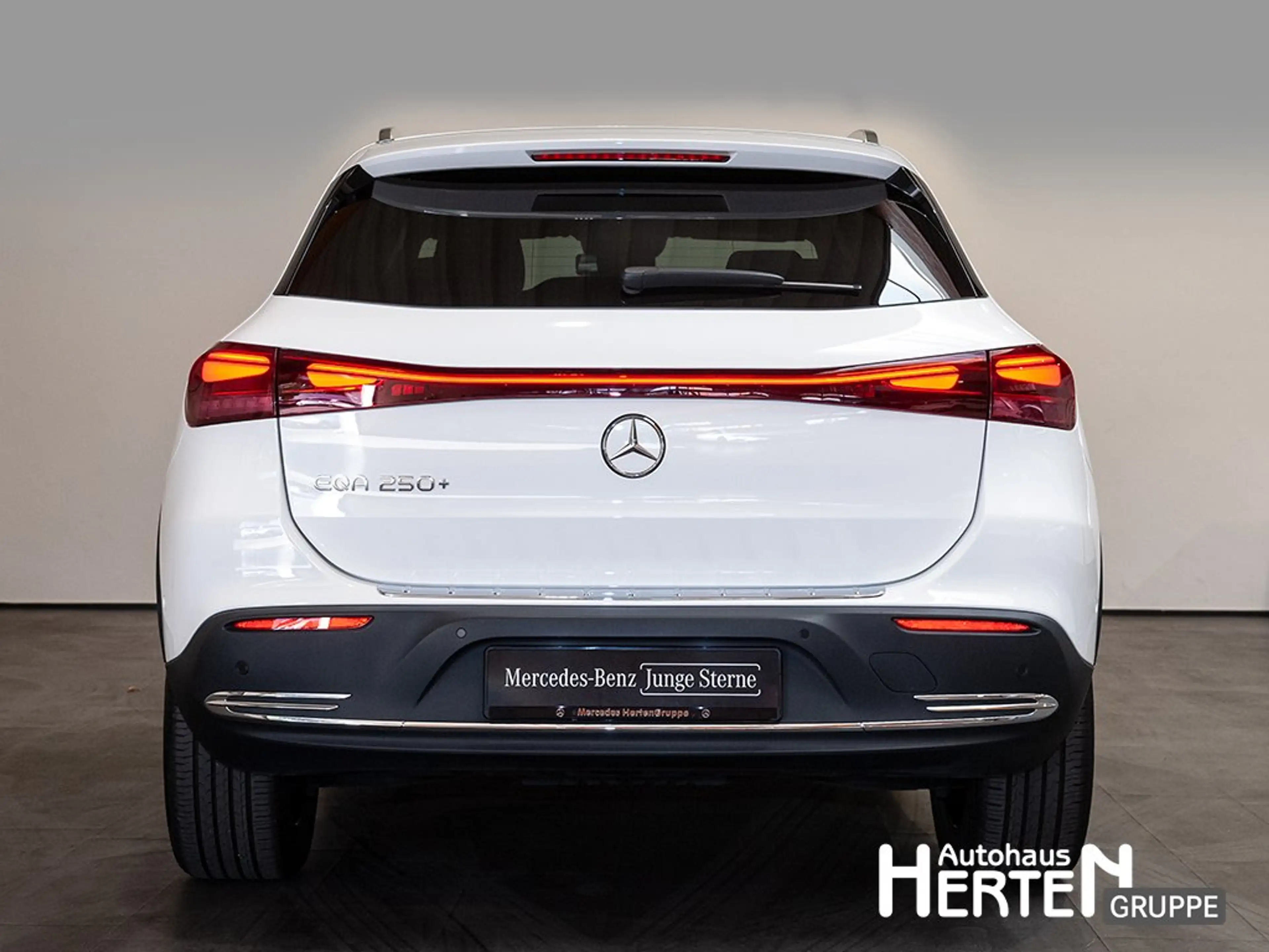 Mercedes-Benz EQA 250 +PROGRESSIVE+DISTRONIC+LED+R-KAMERA+19" — photo 4