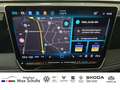 Volkswagen Tiguan GOAL 1,5 l eTSI OPF 110 kW (150 PS) 7-Gan Grijs - thumbnail 13