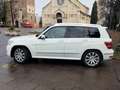 Mercedes-Benz GLK 220 GLK 220 cdi be Sport 4matic auto my11 - thumbnail 1