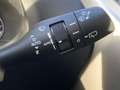 Lexus NX 300h Executive Line+cam+nav+sensore Grau - thumbnail 17