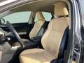 Lexus NX 300h Executive Line+cam+nav+sensore Grijs - thumbnail 7
