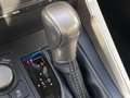 Lexus NX 300h Executive Line+cam+nav+sensore Gris - thumbnail 18