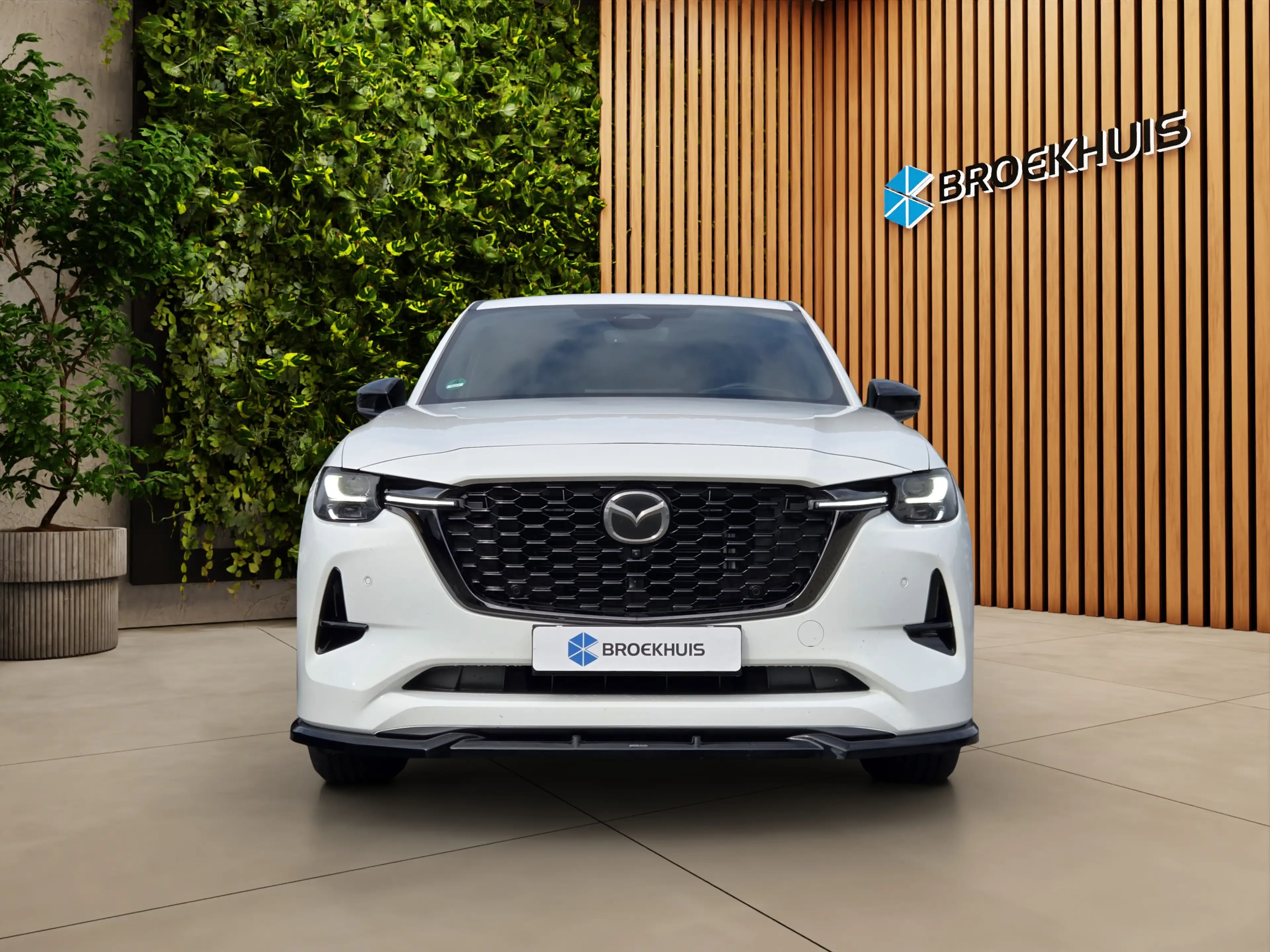 Mazda CX-60 2.5 e-SkyActiv PHEV Homura Plus — photo 15