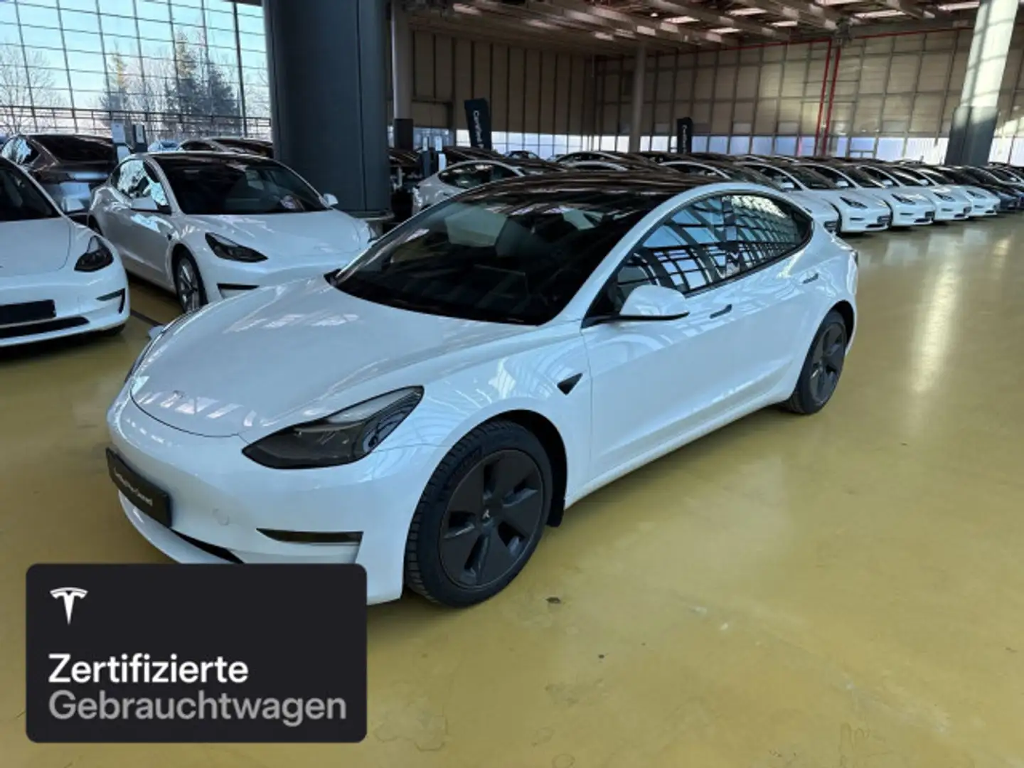 Tesla Model 3 Long Range AWD Weiß - 1