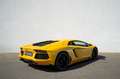 Lamborghini Aventador LP700-4 V12 COUPE FULL SERVICE HISTORY Gelb - thumbnail 3