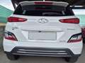 Hyundai KONA Kona Elektro 39kWh Edition 30 Plus Edition 30 Plus Weiß - thumbnail 5