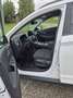 Hyundai KONA Kona Elektro 39kWh Edition 30 Plus Edition 30 Plus Weiß - thumbnail 10
