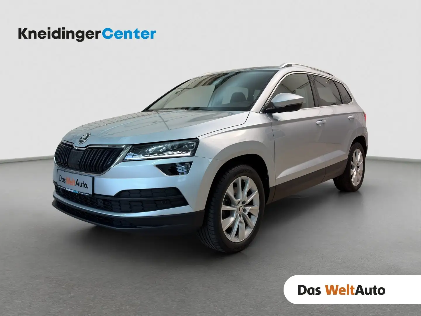 Skoda Karoq 4x4 Style TDI DSG SCR Silber - 1
